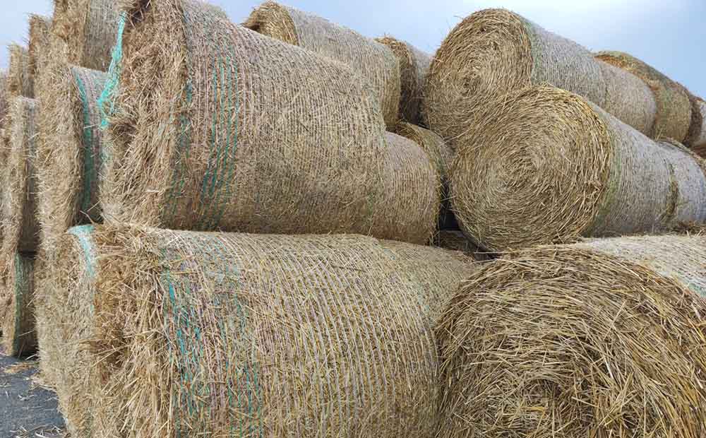 秸稈回收能做什么  秸稈回收再利用項目熱解炭氣聯產介紹